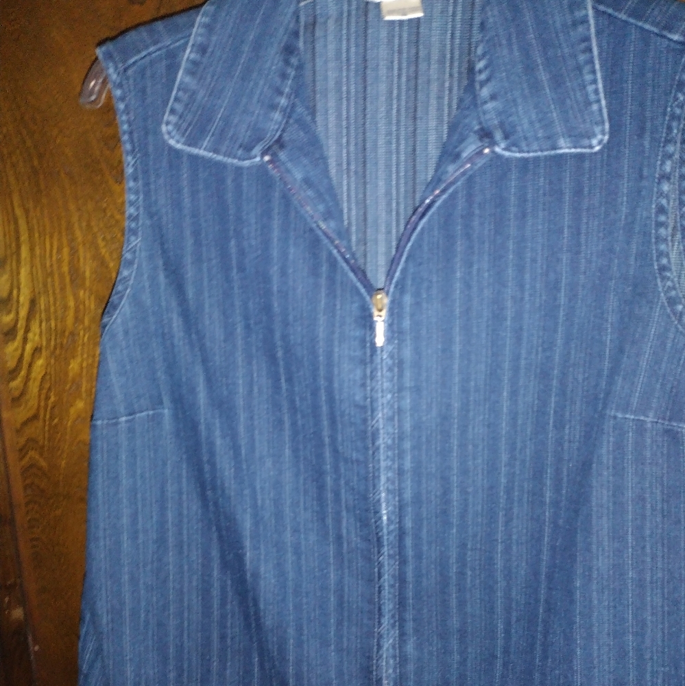 Allison Daley vest